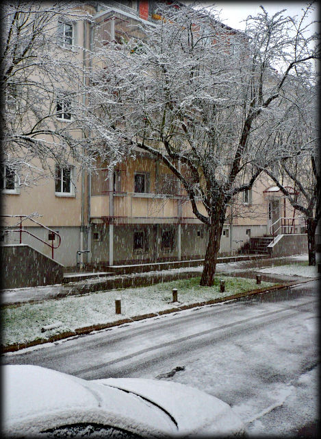 2008-11-24_16-20-05 Schnee in der Blumenstraße