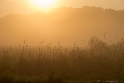 2014-09-16_07-54-03