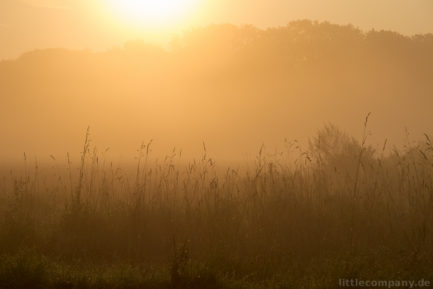 2014-09-16_07-54-03