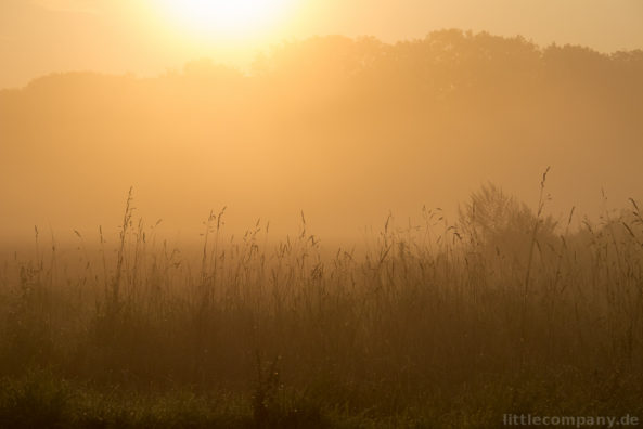 2014-09-16_07-54-03