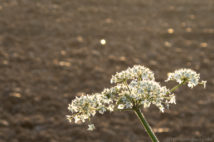 2014-09-16_08-09-08