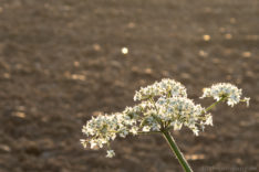 2014-09-16_08-09-08