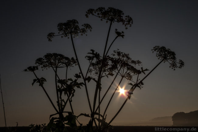 2014-09-16_08-13-17