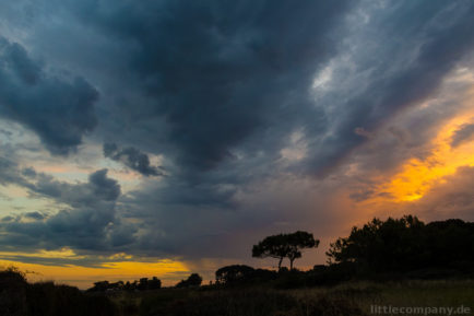 2014-09-18_07-54-29