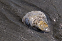 2014-09-19_14-43-23
